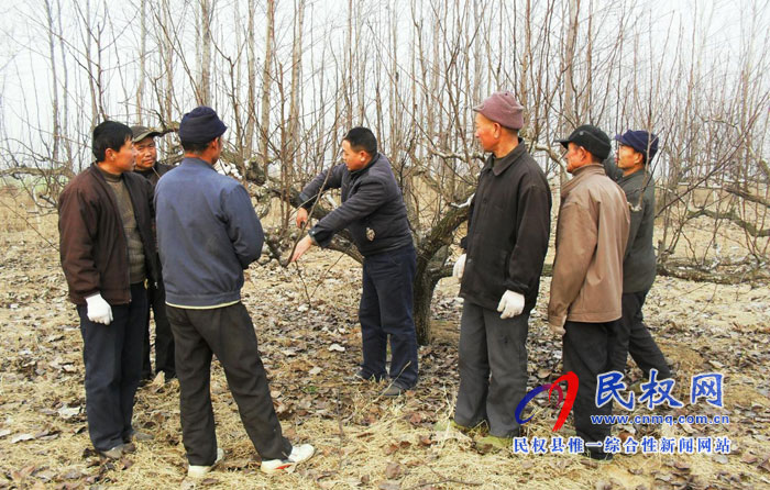 園藝站多措施預(yù)防果樹“倒春寒”