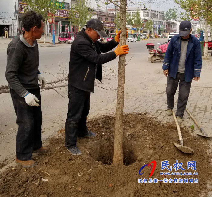 孫六鎮(zhèn)：補植綠化樹?扮靚鎮(zhèn)域風(fēng)景