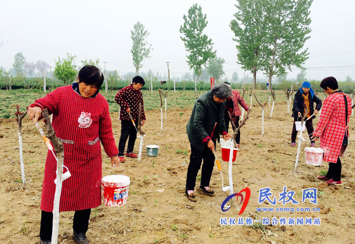 花園鄉(xiāng)推進(jìn)植樹(shù)造林打造“森林花園”