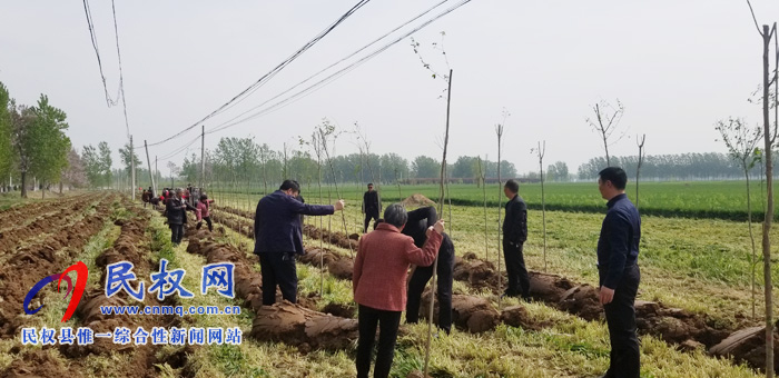 莊子鎮(zhèn)積極開展國土綠化、植樹造林活動