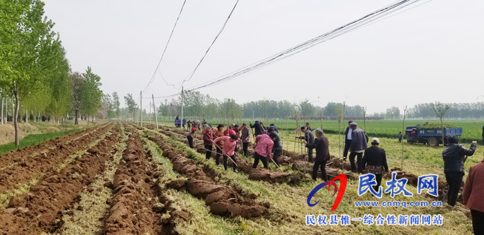 莊子鎮(zhèn)積極開展國土綠化、植樹造林活動