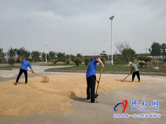 縣城管局東區(qū)中隊：開展占道打麥曬糧專項治理