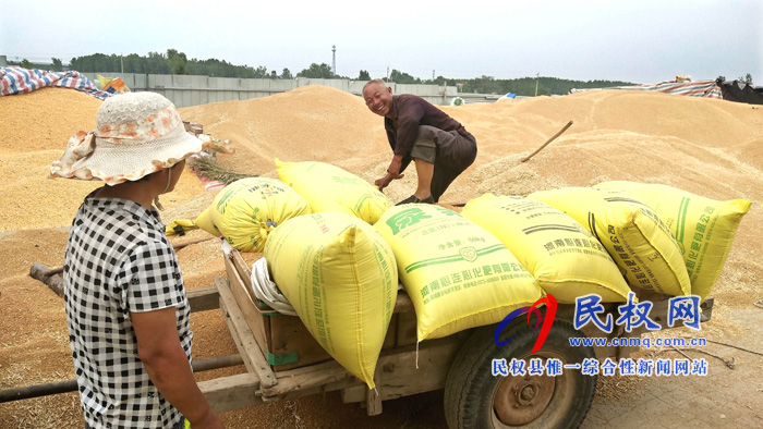 野崗鎮(zhèn)夏糧收購站里售糧群眾笑容甜