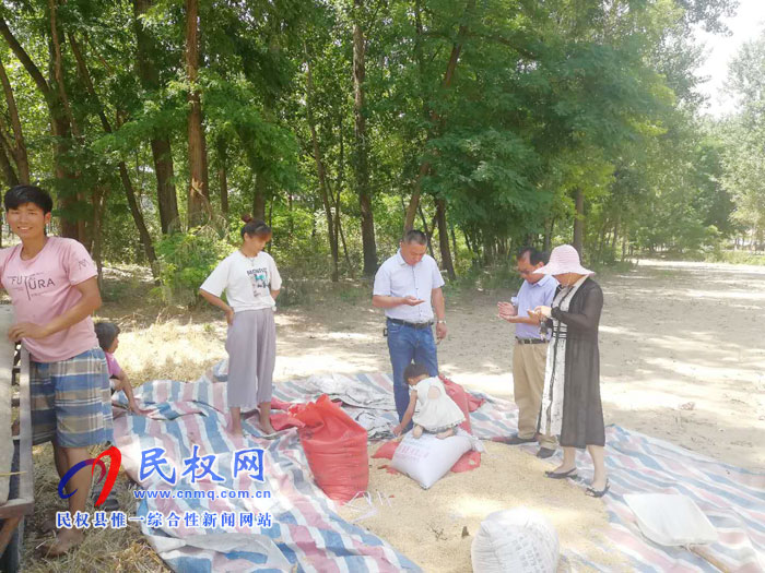 縣農(nóng)業(yè)農(nóng)村局加強(qiáng)麥?zhǔn)掌陂g秋作物的田間管理