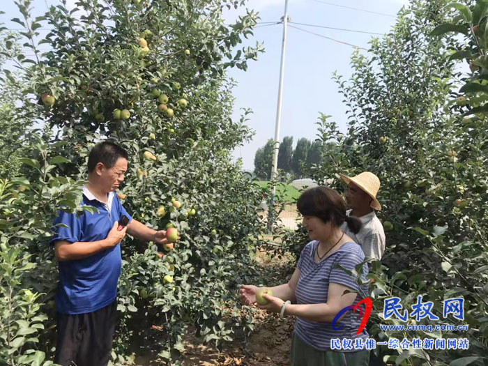 園藝站果樹專家高溫季節(jié)指導(dǎo)設(shè)施葡萄及其它果樹夏季管理