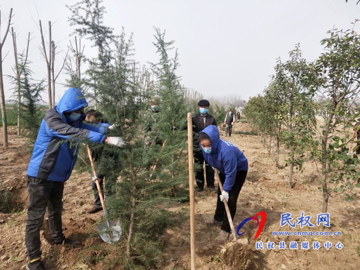 雙塔鎮(zhèn)：疫情防控不松勁 植樹造林不誤時(shí)