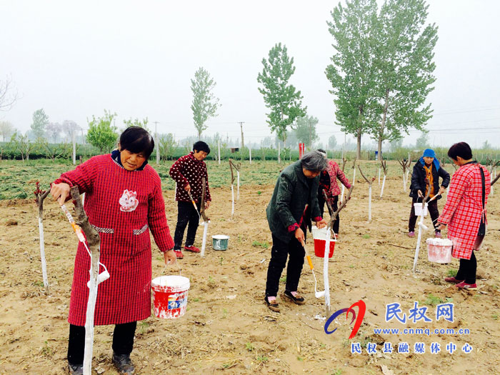  花園鄉(xiāng)加強(qiáng)樹木管護(hù)確保成活率