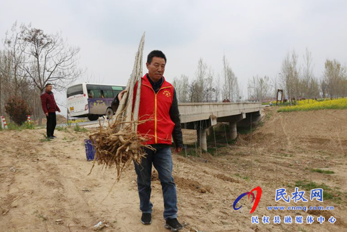 白云寺鎮(zhèn)財政所開展義務植樹活動