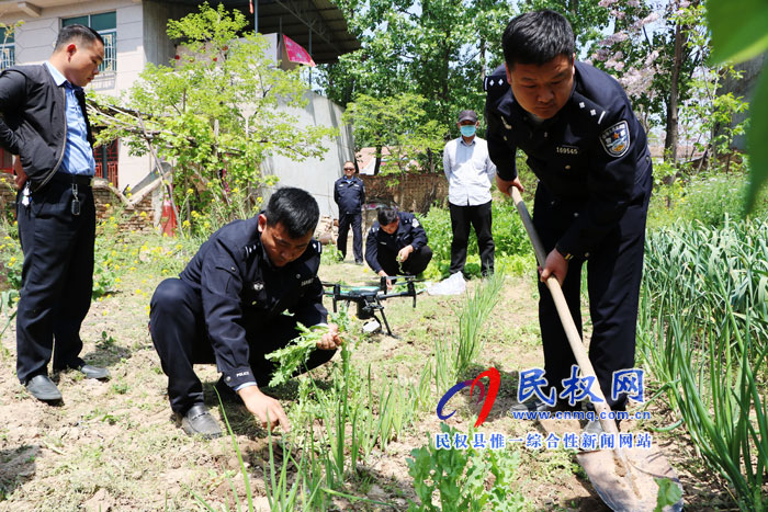 無(wú)人機(jī)撒下“天網(wǎng)” 毒罌粟無(wú)處遁形