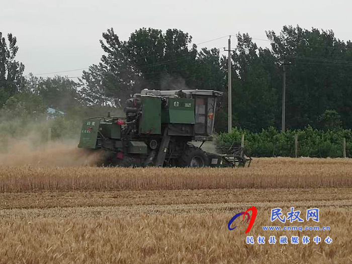 民權(quán)“三夏”生產(chǎn)進行時南華辦事處啟動麥?zhǔn)铡暗谝荤牎? title=