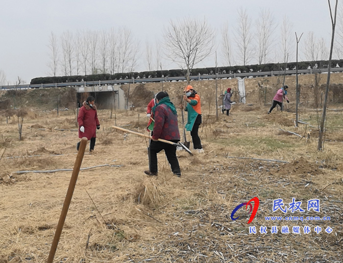 野崗鎮(zhèn)：早春植好護(hù)路林 生態(tài)屏障一線(xiàn)綠