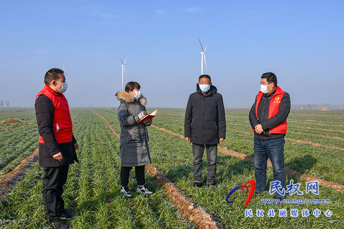 民權縣人和鎮(zhèn)：加強冬季麥田管理，確保小麥安全越冬