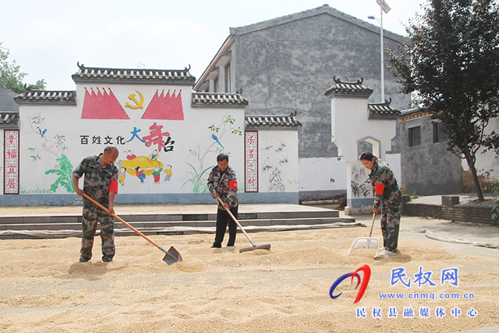 花園鄉(xiāng)：三夏幫扶隊(duì)  活躍在田間