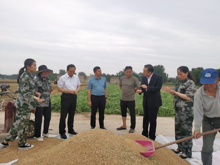 縣領導李國棟、韓德勇到雙塔鎮(zhèn)查看“三夏”生產(chǎn)情況