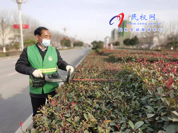 栽花種草植樹忙 為城市增顏美容