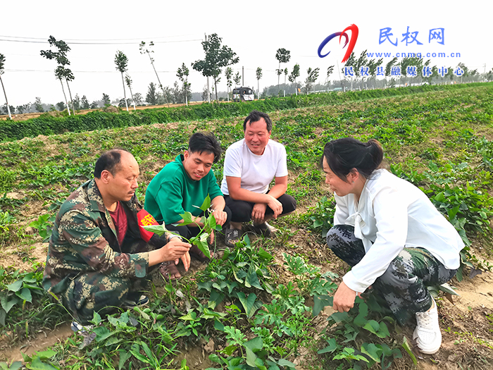 龍?zhí)伶?zhèn)：夏種正當(dāng)時(shí) 夏管抓落實(shí)