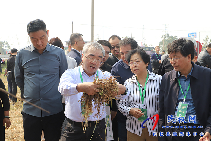 全國首屆油莎豆科研成果轉化暨產業(yè)發(fā)展會議召開