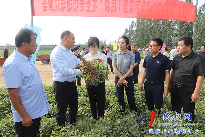 院縣共建現(xiàn)代農(nóng)業(yè)科技綜合示范縣（民權(quán)）花生專項現(xiàn)場觀摩會舉行